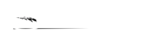 detail-magic-automotive-detailing-michigan