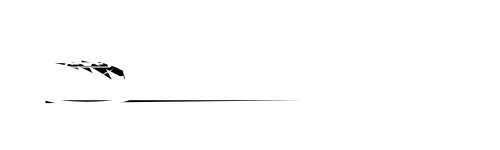 detail-magic-automotive-detailing-michigan