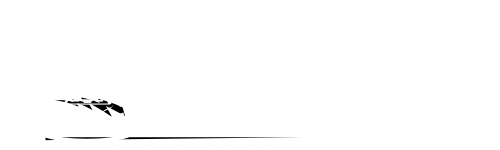 detail-magic-automotive-detailing-michigan