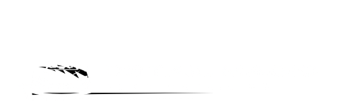 detail-magic-automotive-detailing-michigan