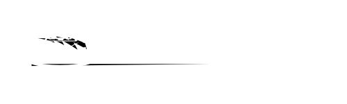 detail-magic-automotive-detailing-michigan