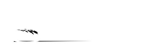 detail-magic-automotive-detailing-michigan