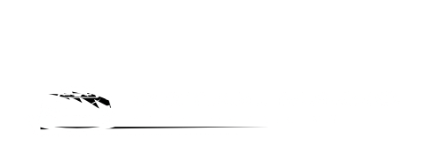 detail-magic-automotive-detailing-michigan