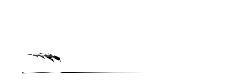 auto-detail-gr-detailing-grand-rapids-michigan