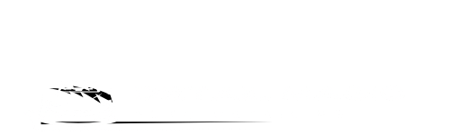 detail-magic-automotive-detailing-michigan