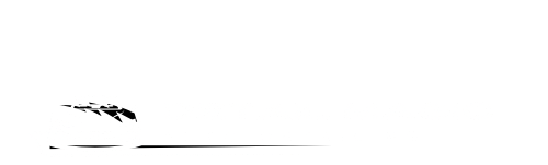 detail-magic-automotive-detailing-michigan